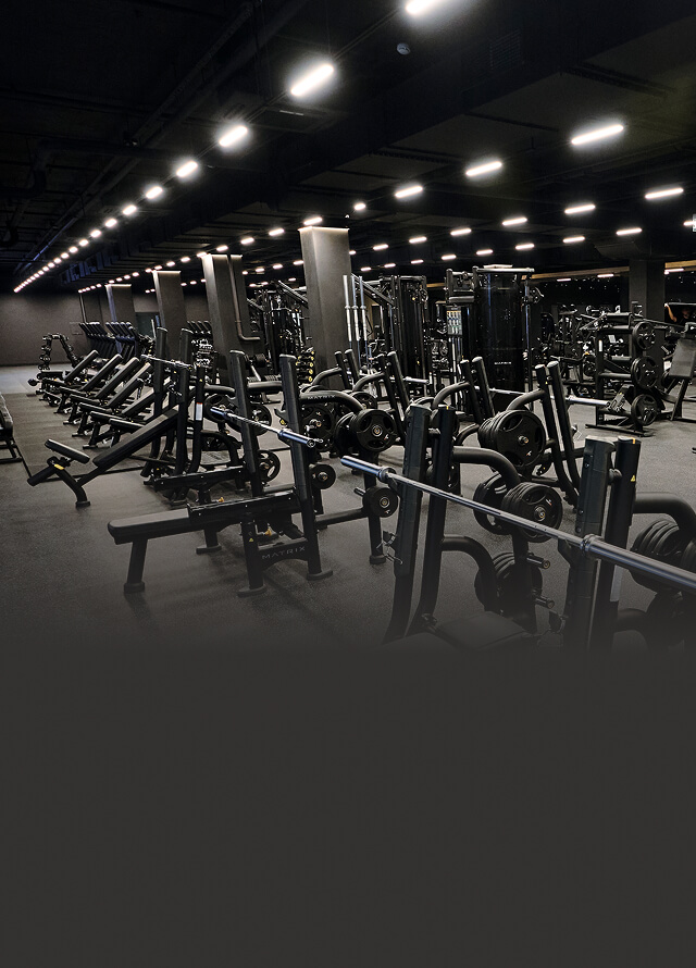 Зал, оснащенный зоной свободных весов и силовыми тренажерами