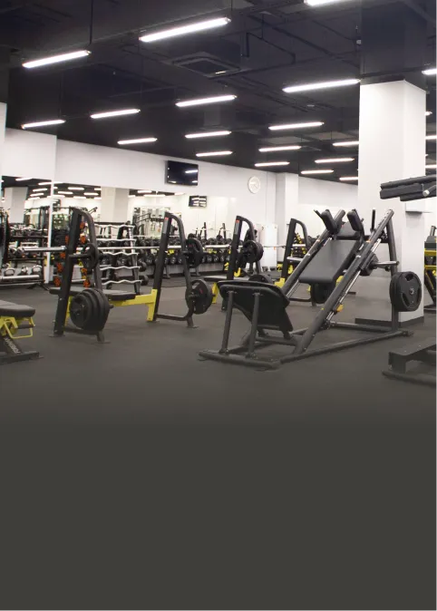 Тренажерный зал, оснащенный зоной свободных весов и силовыми тренажерами